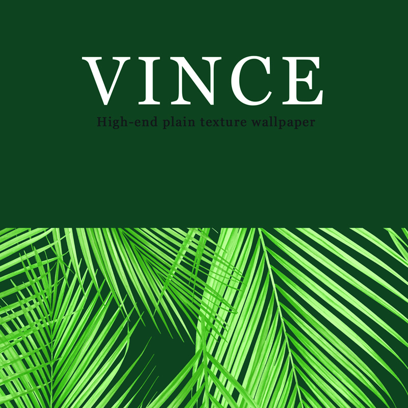 VINCE